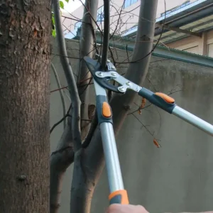 Telescopic Pruning Shears
